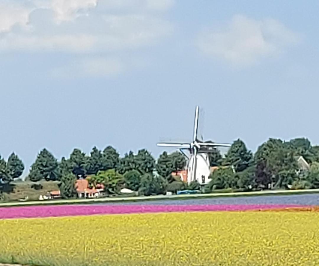 B&B De Nieuwe Stal Scherpenisse Exterior foto